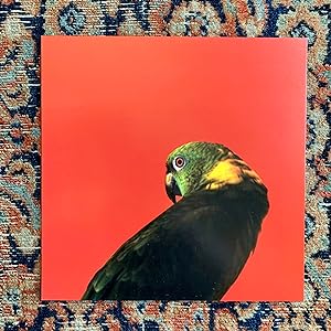 Louise Lawler: Birdcalls