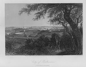 VIEW OF THE BALTIMORE FROM DRUID HILL PARK After G. PERKINS Engraved by HINSHELWOOD,1874 Historic...