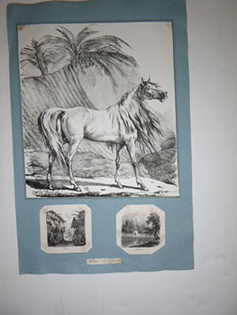 Standing horse with long mane in front of a Palm grove. First edition of the lithograph.