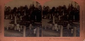 City of the Dead, Greenwood. (Stereograph).