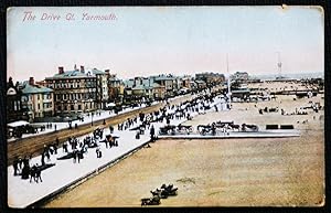 Great Yarmouth the DriveCollectable Publisher Bliss Series 200958 1906 Vintage Postcard