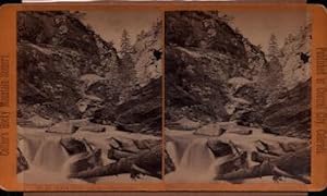 Colorado River Scene: Collier's Rocky Mountain Scenery. (Stereograph).