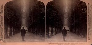 One of the Grand Avenues, Royal Park, Frederiksborg, Denmark. (Stereograph).