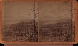 Meadows at Long's Peak: Collier's Rocky Mountain Scenery. (Stereograph).