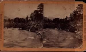 Long's Peak Series - On the St. Vrain Looking West: Collier's Rocky Mountain Scenery. (Stereograph).
