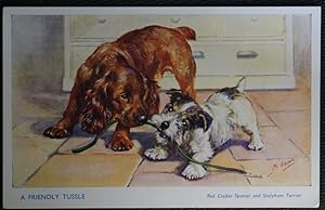 Red Cocker Spaniel Sealyham Terrier Publisher J. Salmon No. 5077 Vintage Collectable Postcard