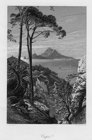 VIEW OF CAPRI and VESUVIUS After HENRY FENN Engraved by KRAUSSE,1875 Steel Engraving