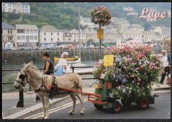 Looe Flower Donkey Jana Cornwall Collectable 1999 Postcard
