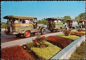 Jeepneys A Way Of Life In Manilla Postcard