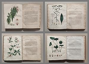 Botanisches Bilderbuch für die Jugend und Freunde der Pflanzenkunde.