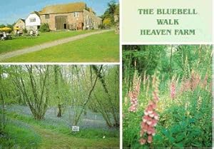 Uckfield Sussex Stable Tearooms Heaven Farm Furners Green Postcard