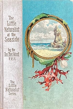 The little naturalist at the seaside