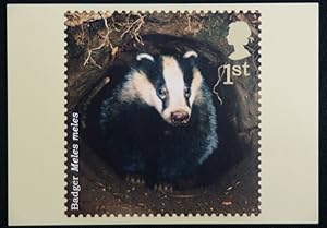 Badger Artist Kate Stephens Royal Mail Stamp 2004 Postcard