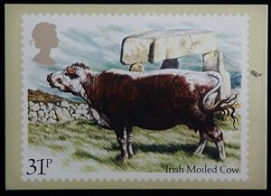 Cow Irish Moiled Cow Artist Barry Driscoll Royal Mail Stamp 1984 Postcard
