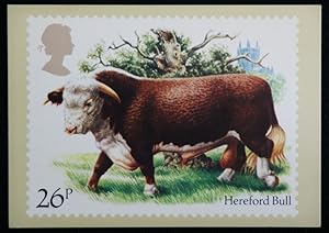 Hereford Bull Artist Barry Driscoll Royal Mail Stamp 1984 Postcard