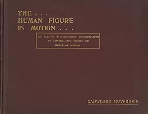 THE HUMAN FIGURE IN MOTION AN ELECRO- PHOTOGRAPHIC INVESTIGATION OF CONSECUTIVE PHASES OF MUSCULA...