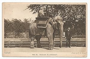 Ellephant Postcard Indian No.6 with Keeper Dated 1923