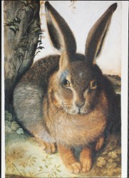 Hare Postcard Royal Academy Of Arts Woodner Collection