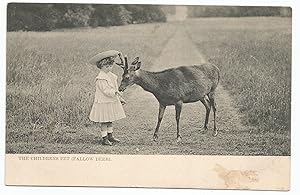 Fallow Deer Postcard Children's Pet Publisher Raphael Tuck & Sons Ltd