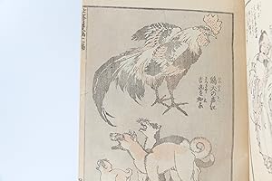 Hokusai Manga. Volume 11
