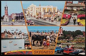 Skegness Postcard Lincs Vista Walk Pullover Gardens Donkeys Clock Tower