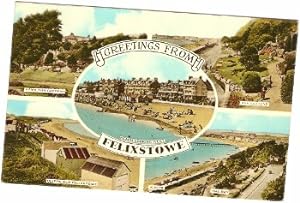 Felixstowe Postcard Hamilton Spa Gardens Suffolk Vintage Harvey Barton Publisher