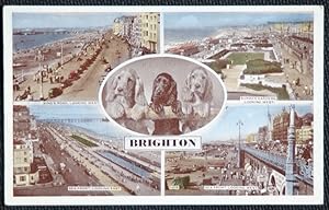 Brighton Postcard King's Road LOCAL PUBLISHER A.W.W. Brighton & Worthing