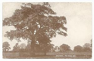 Boscobel Postcard The Royal Oak Publisher Bennett Clark Wolverhampton