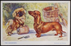 Dogs The Gardeners Artist M. Gear Postcard