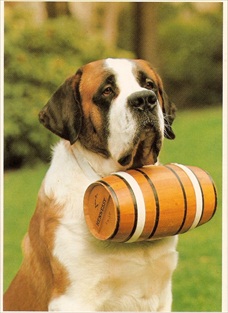 Dog Postcard Saint Bernard with Barrel