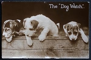 Dog Postcard The Dog Watch Vintage