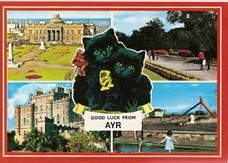 Ayr Scotland Postcard Cats Wellington Craigie Culzean Castle