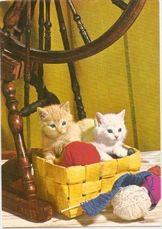 Cat Postcard Two Kittens In A Basket