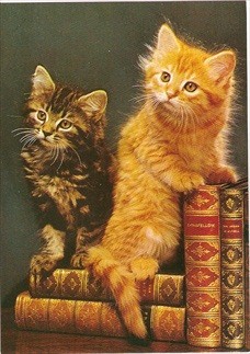 Cat Postcard Book Collectors