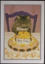 Cat Postcard A Happy Birthday Artist Kris Coppieters