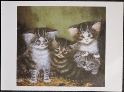 Cat Postcard Four Kittens From Gavin Graham Gallery by C. Wilson