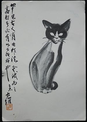 Cat Postcard Oriental Cat Answers On A Postcard Please! Vintage 1959