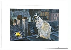 Cat Postcard Up On The Roof
