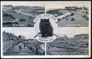 Porthcawl Postcard Wales Lucky Black Cat Valentine's Series 1959