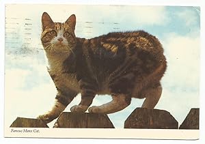 Cat Postcard Famous Manx Cat Isle Of Man