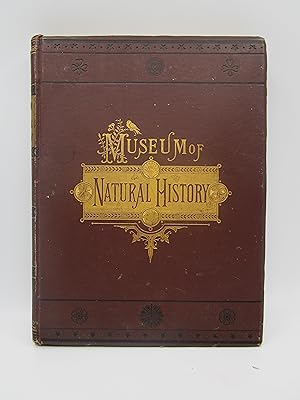 The Museum of Natural History (Volume III) being a popular account of the structure, habits, and ...