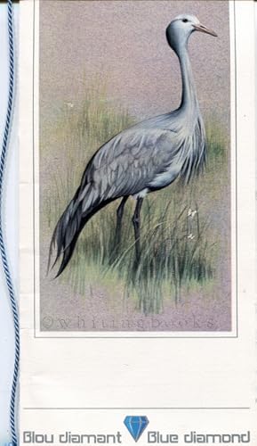 South African Airways (SAA) / Suid Afrikaanse Lugdiens (SAL) Blue Diamond Menu with Cover Bird Il...