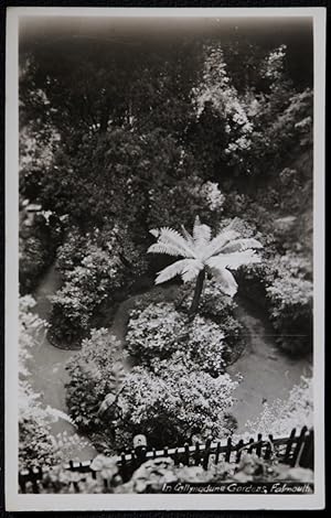 Falmouth Gyllngdune Gardens Real Photo