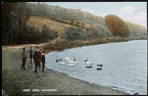 Falmouth Swan Pool Vintage 1918 Postcard