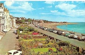 Exmouth Postcard Devon Vintage With Classic Cars,