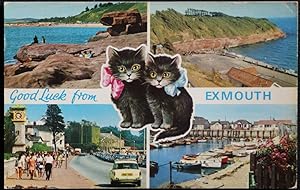 Exmouth Postcard Orcombe Sandy Bay Lucky Black Cat Series Collector