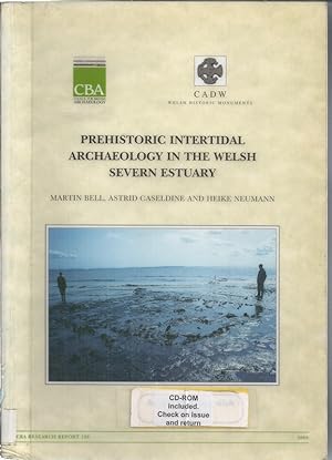 Prehistoric Intertidal Archaeology in the Welsh Severn Estuary [with CD]