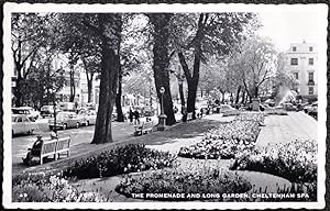 Cheltenham Spa Postcard Promenade Long Garden Vintage 1960