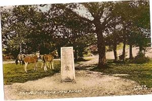 New Forest Ponies Horses Postcard Rufus Stone Vintage 1965