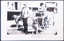 Isle Of Wight Postcard Rural White The Water Carrier Real Photo